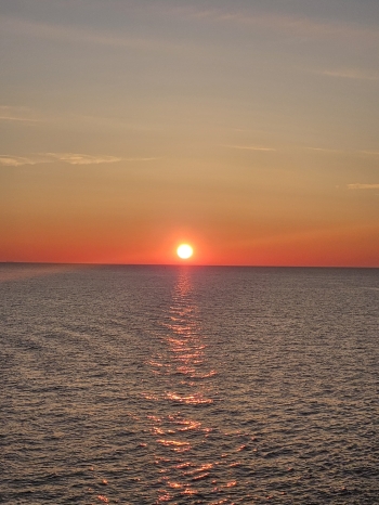 46be1d2d-f071-4829-be38-9f35bd3001cf.JPG